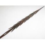 A 19th or early 20th Century Australian aborigine barbed wooden spear, bearing painted dot