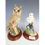 A Border Fine Arts figurine of a long eared owl 541729, together with a barn owl with chick 650587