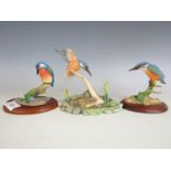 A Border Fine Arts figurine of a kingfisher fishing, together with two others similar; kingfisher