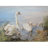 A signed Edwin Straker print The Swans, also pencil signed by David Bellamy