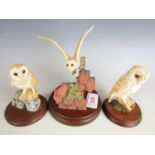 A Border Fine Arts figurine depicting a flying barn owl RB18 together with a barn owl M20, and a