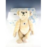 A Steiff 1909 Teddy bear in blonde mohair with original carton and tags