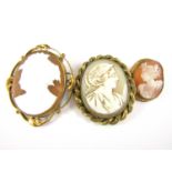 Three late 19th / early 20th Century cameo brooches, two of carved shell, the third of moulded and