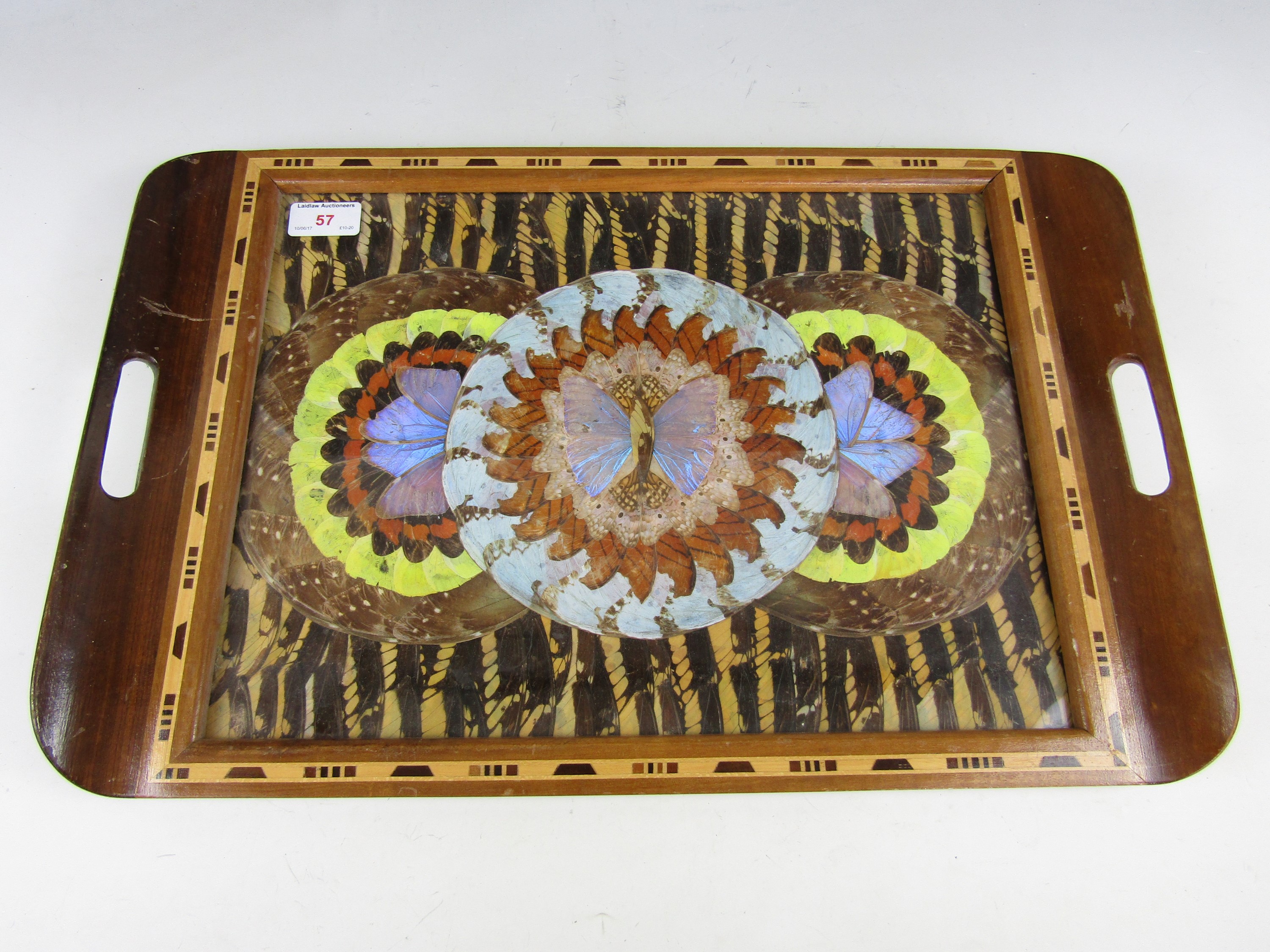 A 1930's butterfly wing tray