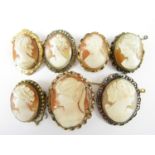 Seven vintage carved shell cameo brooches, in rolled gold and gilt metal mounts