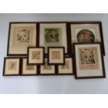 Ten contemporary Teddy bear prints signed by Sue Willis