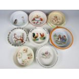 A quantity of vintage baby / child's plates including Noritake, Alfred Meakin, Devon ware