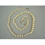 A single strand necklace of subtly graded freshwater pearls, with yellow metal clasp and safety