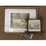 A late 19th Century photograph of a farmer and his prize cow standing before a farmstead, in