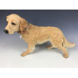 A Country Artists Jasper Golden Retriever, 37 cm