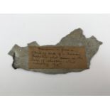 A fragment of First World War German Zeppelin fuselage, with paper label bearing the inscription '