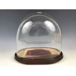 A Victorian glass display dome on turned wooden platform base, 44 cm