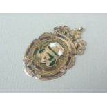 An Ancient Order of Hibernians enamelled 9 ct gold fob, 4.7 g