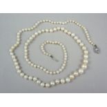 A vintage single strand necklace of graded freshwater pearls, with white metal box clasp stamped '