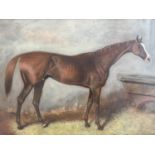 (19th Century) "Blair Athol" Winner of the Derby 1864, sensitive equestrian portrait, the chestnut