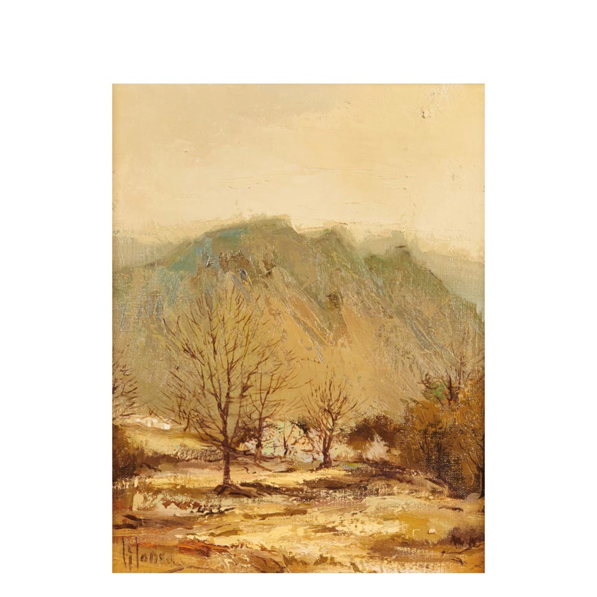 Spanish school, 20th century. Grove. Oil on canvas