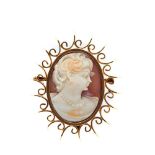 Gold cameo brooch