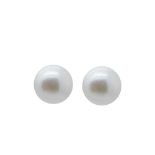 Gold and Australian pearl earrings