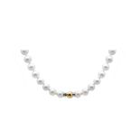 Gold, white gold and Australian pearls necklace