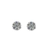 White gold and diamonds earrings