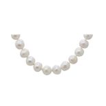 Pearls necklace