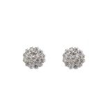 White gold and diamonds earrings