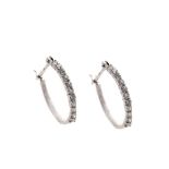 White gold and diamonds earrings