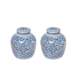 Chinese blue and white porcelain pair of vases