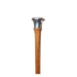 Silver and wood walking stick