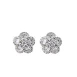 White gold and diamonds flower earrings