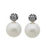 White gold, diamond and Australian pearl earrings