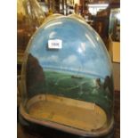 Glass display dome with a painted background, similar plain display dome with an ebonised plinth,