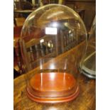 Glass clock display dome of oval form, 17ins x 12ins x 7ins approximately,