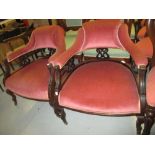 Pair of Edwardian mahogany tub shaped drawing room chairs with pink upholstery