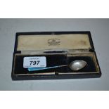 Continental silver and blue enamel coffee spoon