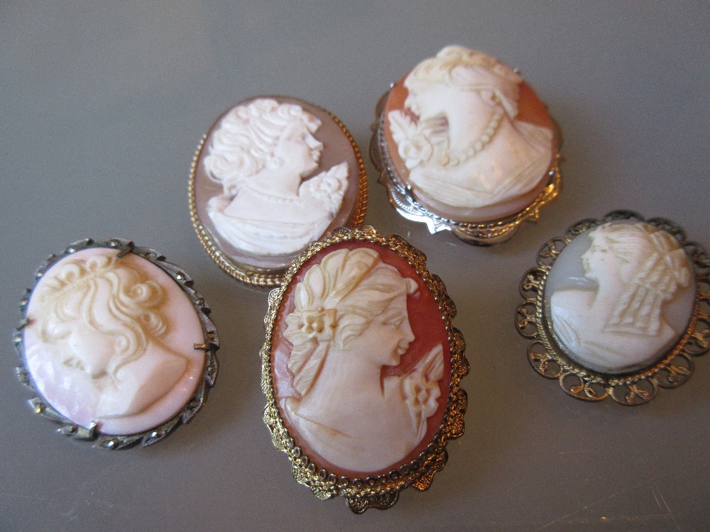 Five various carved shell cameo portrait brooches,