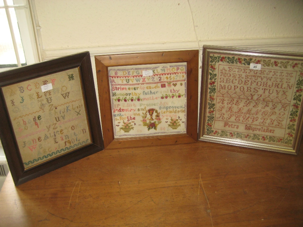 19th Century alphabet sampler by Petra Miguelanez with floral border,