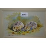 Peter Swan Brown, watercolour of hedgehogs amongst flowers, 5.5ins x 8.