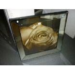 Contemporary segmented mirror framed print of a rose