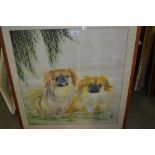 Chinese watercolour, study of Pekinese dogs, some with a red seal mark, 25ins x 24ins,