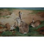 John Colin Edwards, oil on canvas, rabbits at play, signed, 11.5ins x 15.