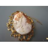 19th Century oval carved shell cameo portrait brooch housed in a gilt metal frame