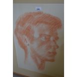 Sigmund Pollitzer, red crayon drawing, portrait of a young man, signed and dated '66,