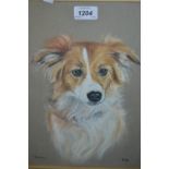 Philis Binet, pastel drawing, portrait of a dog ' Perri ', signed with monogram, 30.5ins x 9.