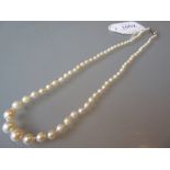 Graduated cultured pearl necklace with silver clasp