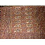 Turkoman rug with two rows of fourteen gols on a wine ground with borders,