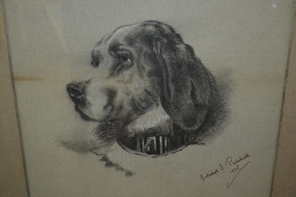Early 20th Century pencil sketch, portrait of a dog, signed Pritchild, dated 1905,