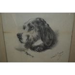Early 20th Century pencil sketch, portrait of a dog, signed Pritchild, dated 1905,