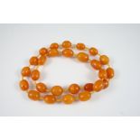 A SINGLE ROW GRADUATED AMBER BEAD NECKLACE 63cm. long, 62.8 grams.