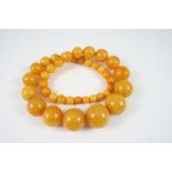 A SINGLE ROW GRADUATED AMBER BEAD NECKLACE 59cm. long, 131 grams.